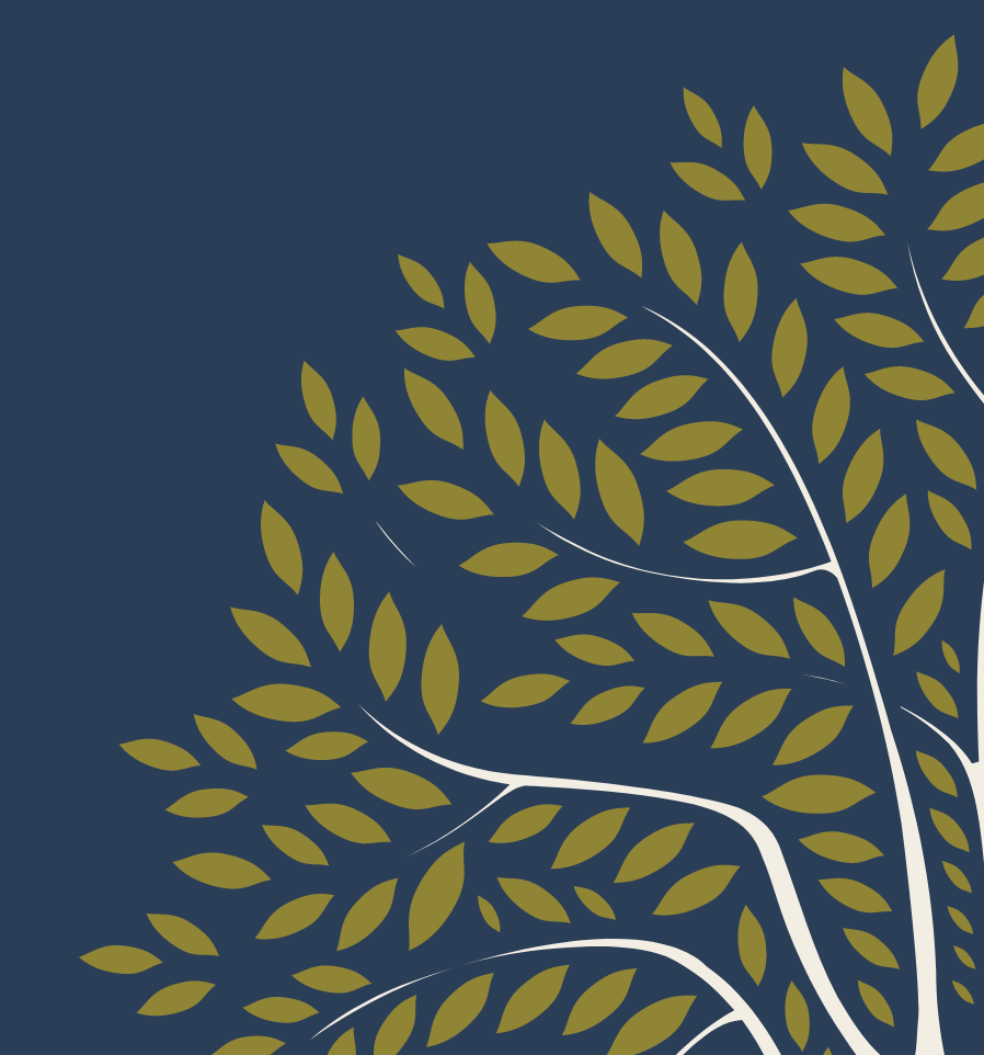 Platolea packaging application