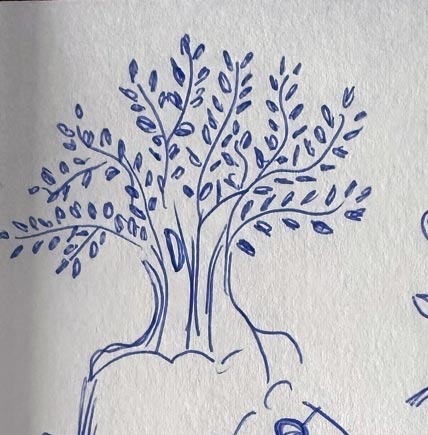 Early Platolea logo exploration