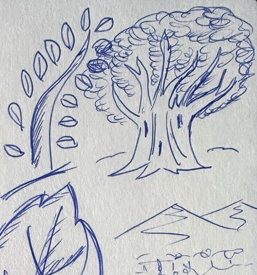 Early Platolea logo exploration