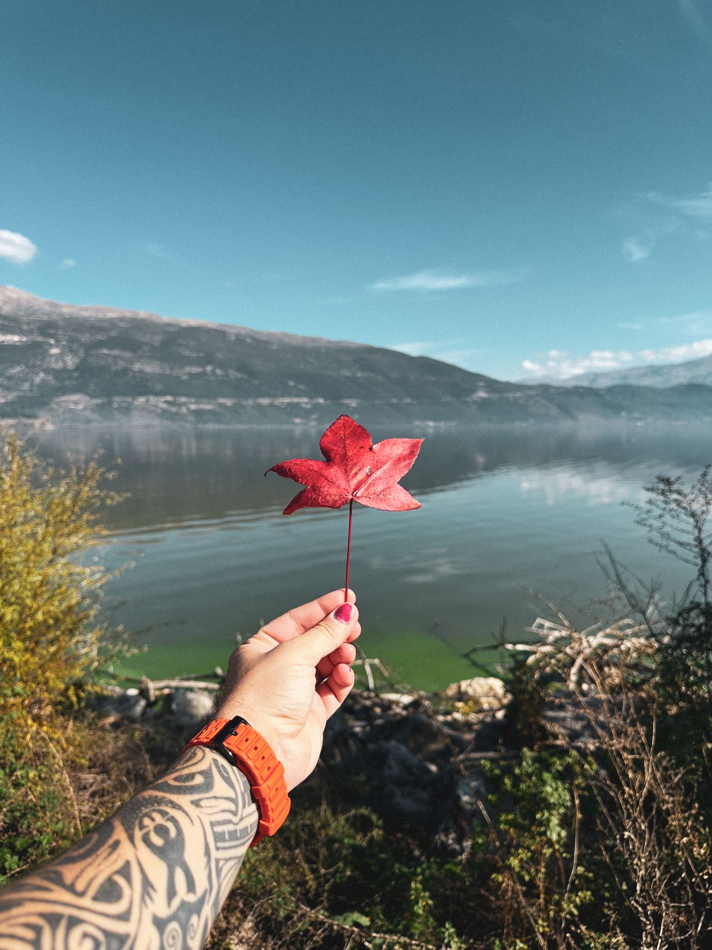 Autumn escape in Ioannina