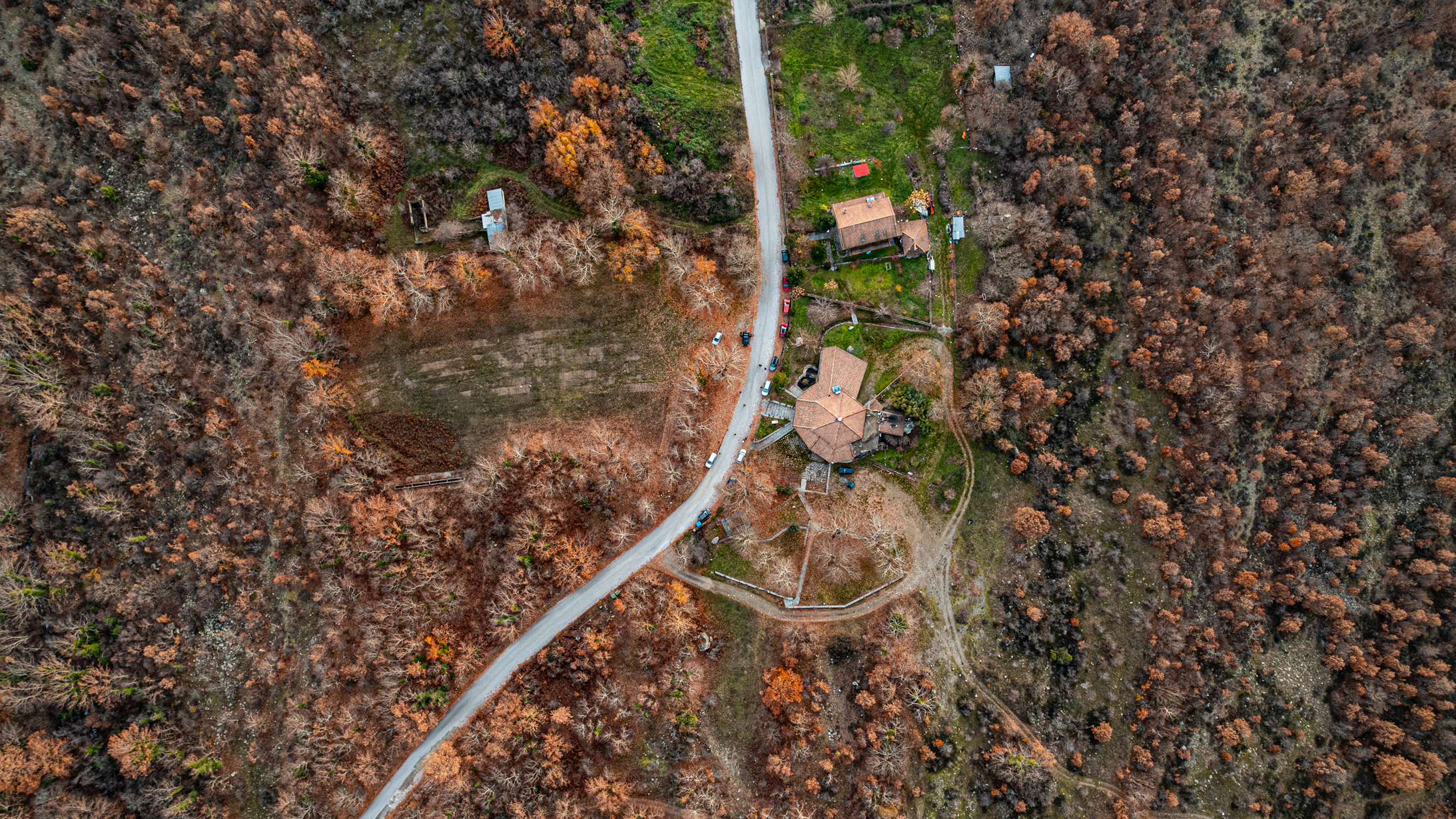 Overhead drone view of a winding road and buildings among brown and green winter woodland near Makrynitsa.