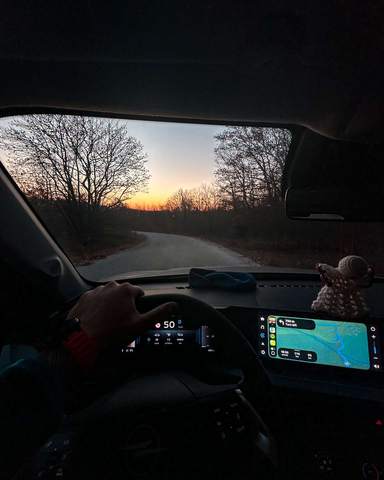 View from inside a car along a tree-lined road, with the last orange light of sunset ahead.