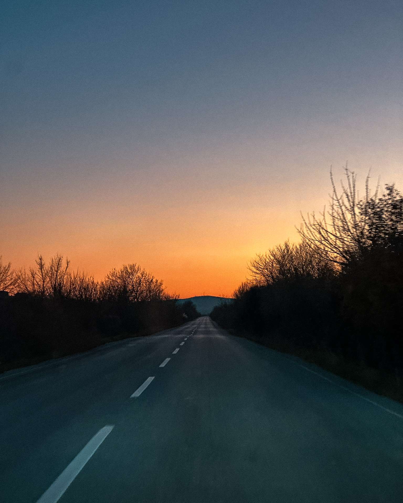 A straight road lined with bare trees receding towards an orange horizon beneath a blue evening sky.