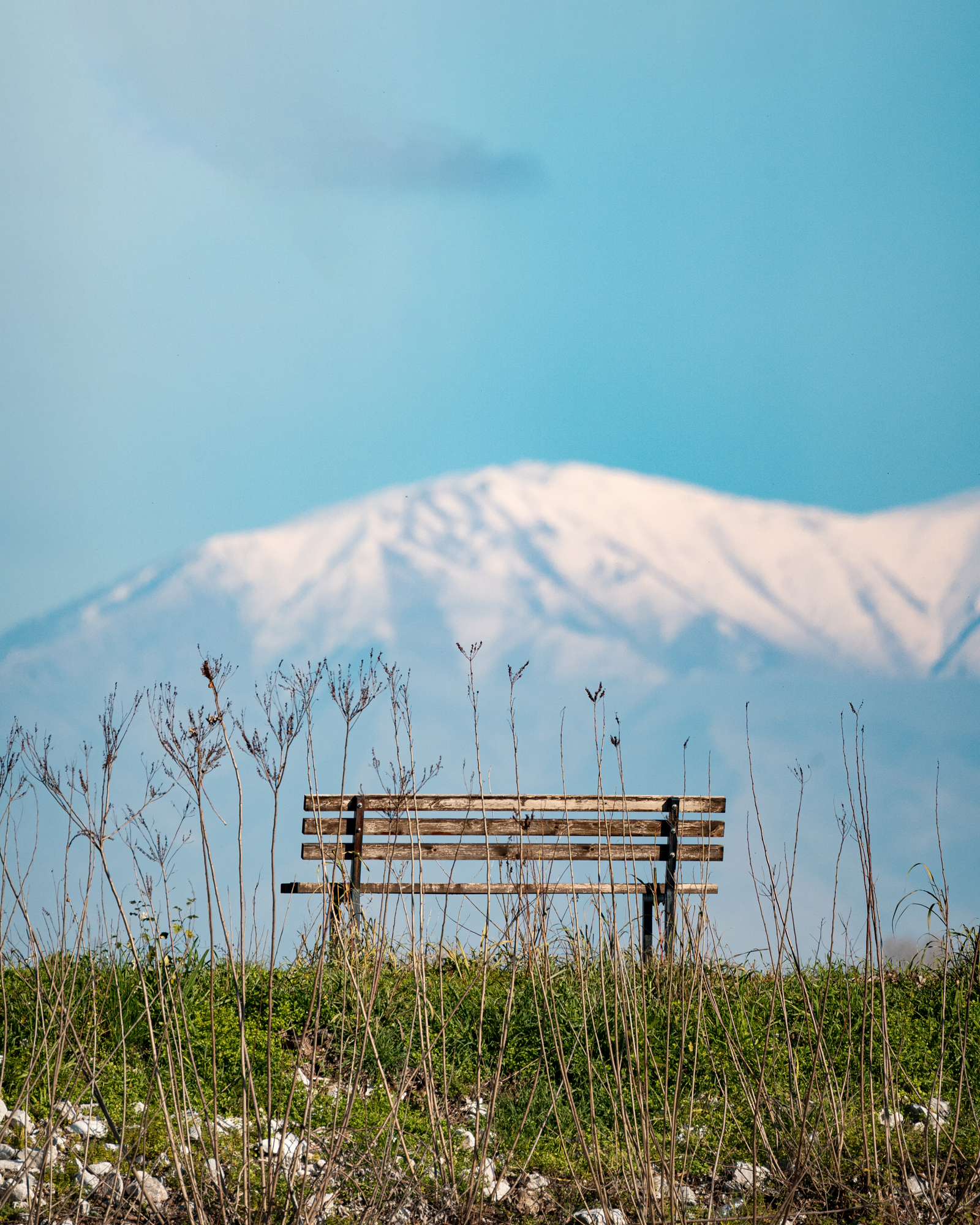 An empty wooden bench among winter grasses, facing Lake Kerkini and snow-covered mountains.