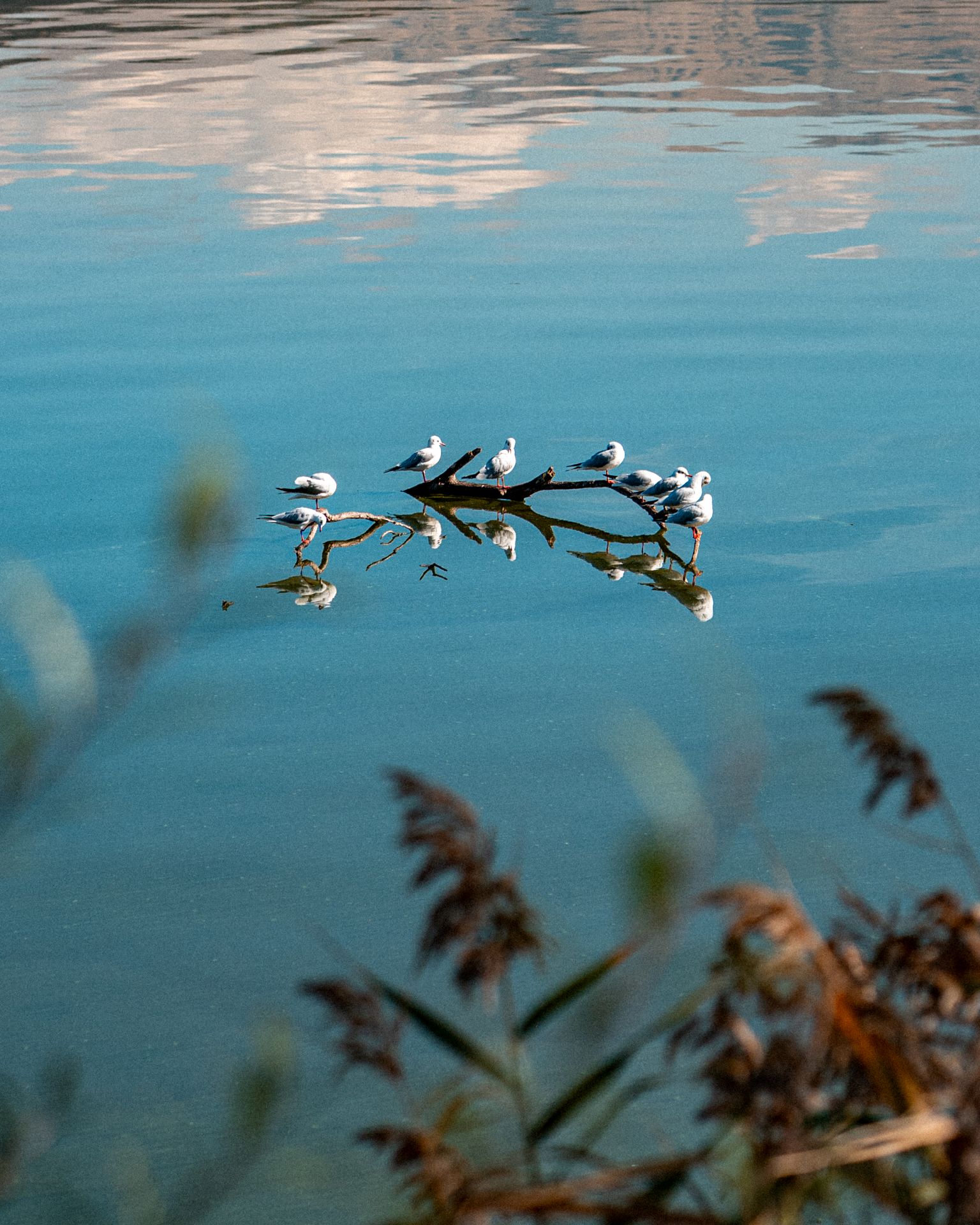 Autumn in Ioannina