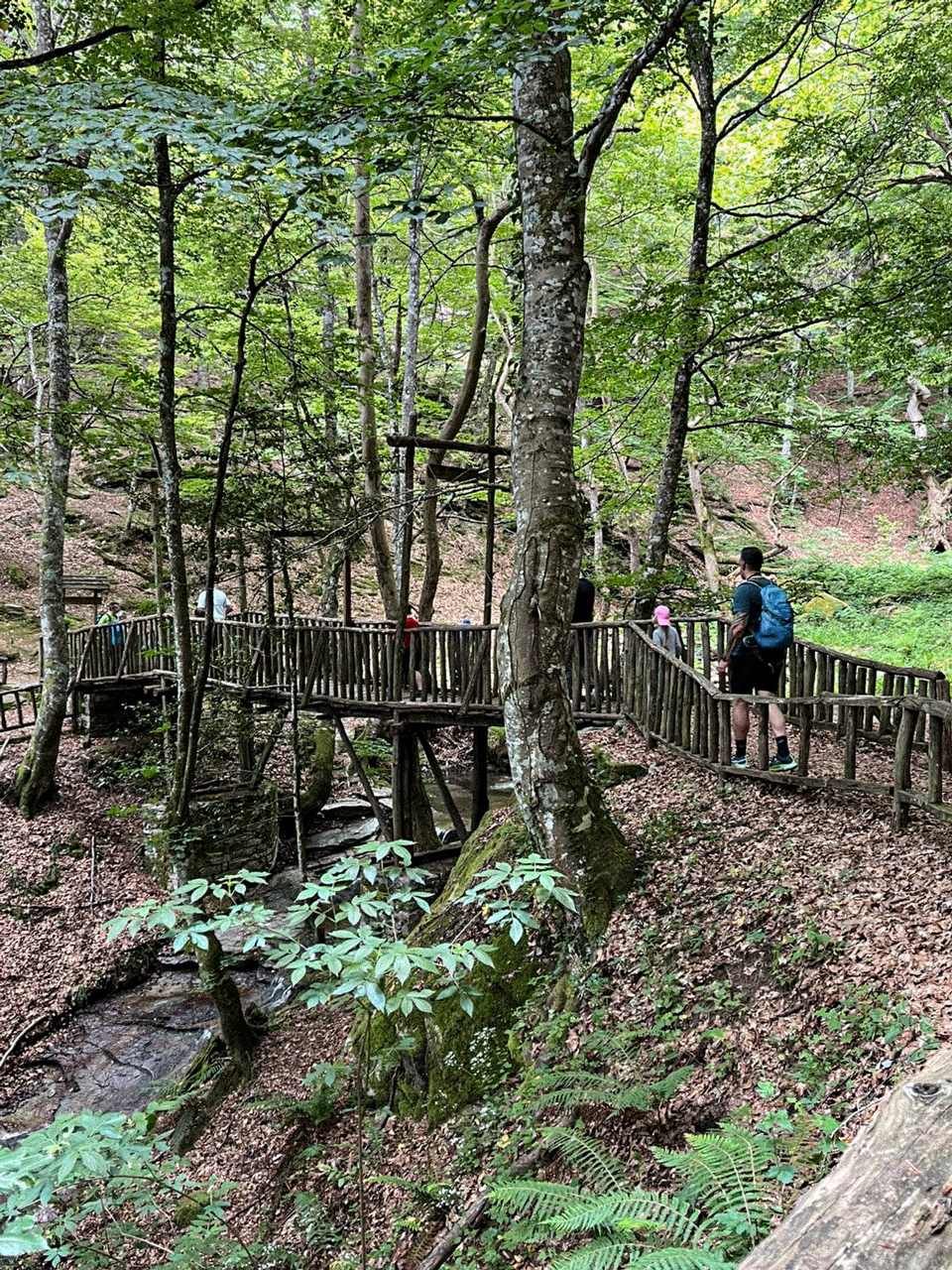 A wooden footbridge crossing a shaded stream among green trees in Ano Milia.