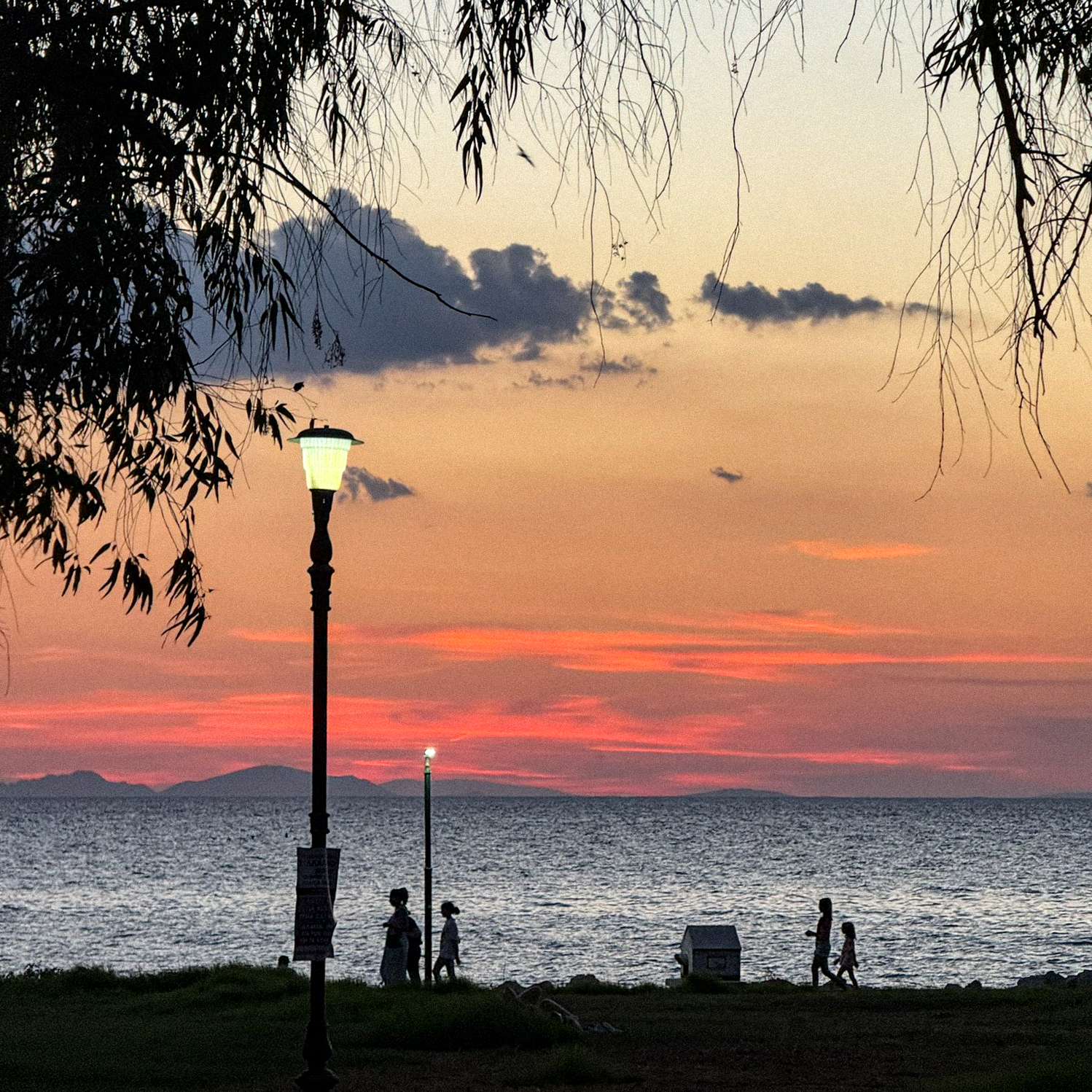 Orange sunset over the sea at the Patras waterfront, framed by branches and a glowing streetlamp.
