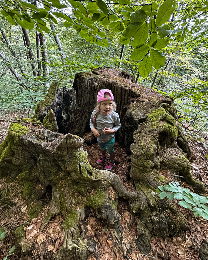 Melina wearing a pink hat, standing inside the hollow of a large moss-covered tree stump.