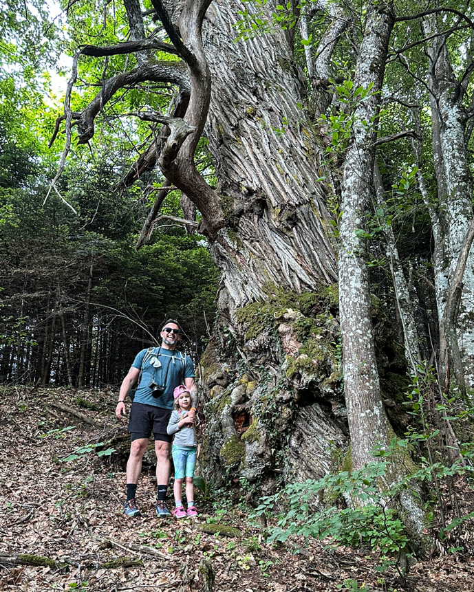 Paul and Melina beside a large, twisted tree trunk in the forest of Ano Milia.
