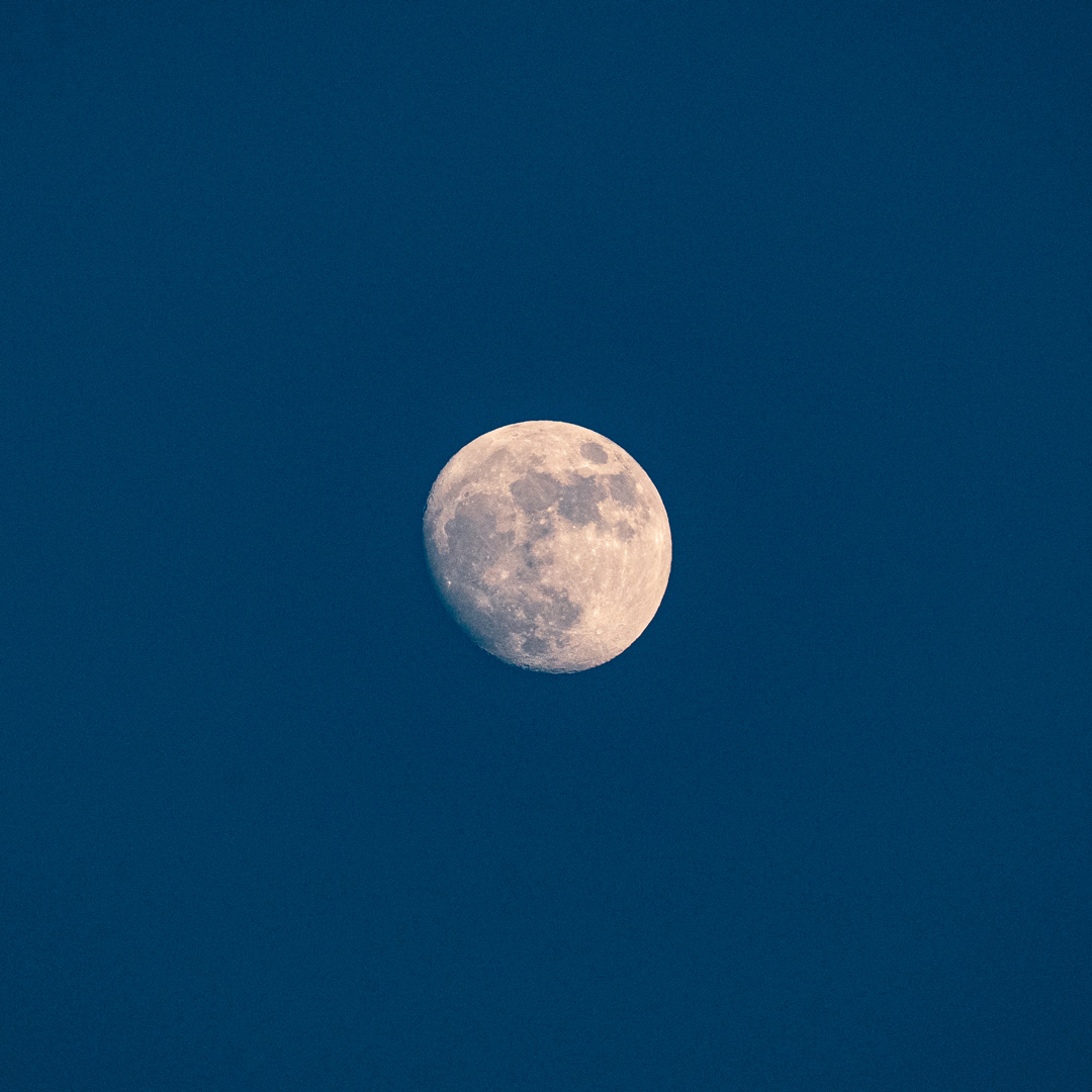 A close-up of the moon against a deep blue evening sky.