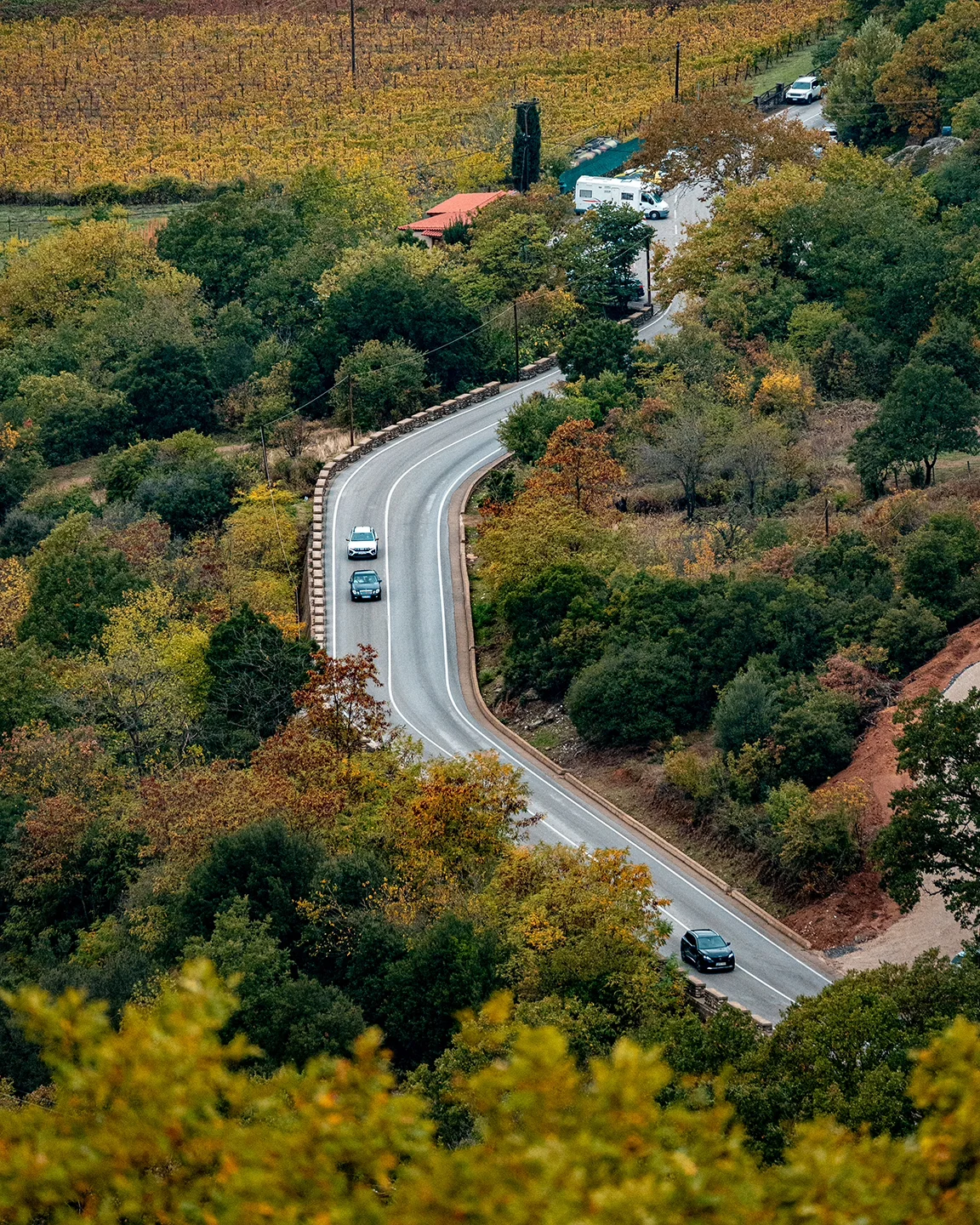 Cars following a winding road through green and golden autumn woodland near Meteora.